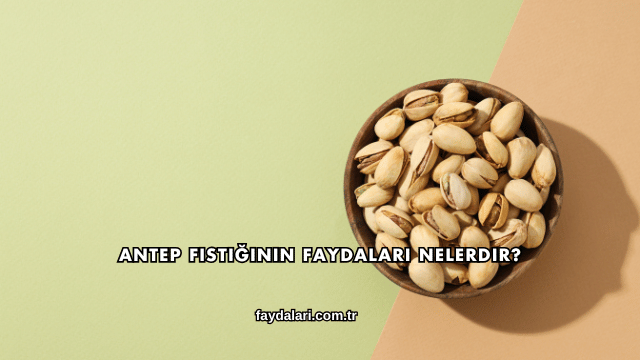 Antep Fıstığının Faydaları Nelerdir?