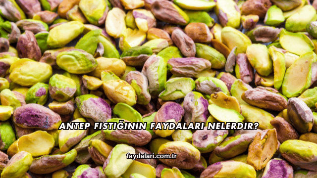 Antep Fıstığının Faydaları Nelerdir?