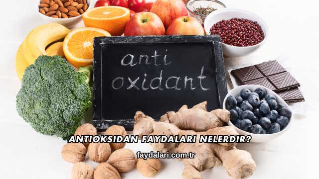 Antioksidan Faydaları Nelerdir?