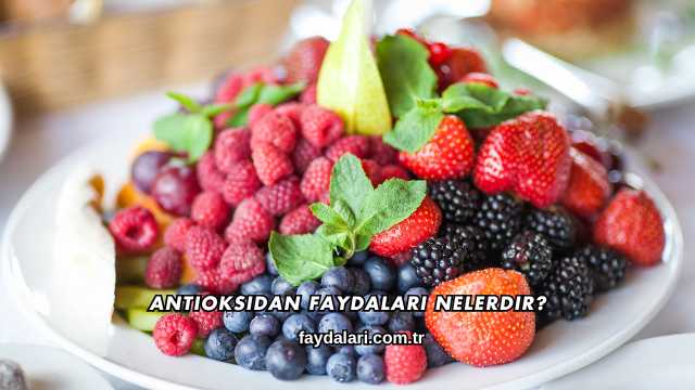 Antioksidan Faydaları Nelerdir?