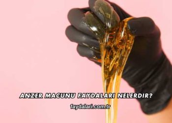 Anzer Macunu Faydaları Nelerdir?