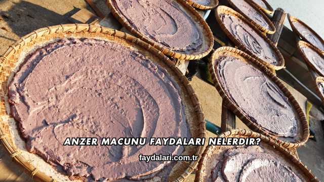 Anzer Macunu Faydaları Nelerdir?