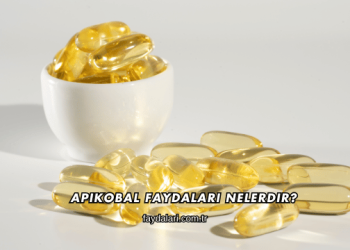 Apikobal Faydaları Nelerdir?