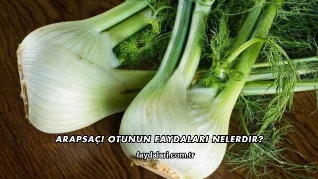 Arapsaçı Otunun Faydaları Nelerdir?