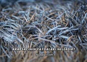 Arapsaçının Faydaları Nelerdir?