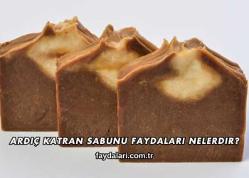 Ardıç Katran Sabunu Faydaları Nelerdir?