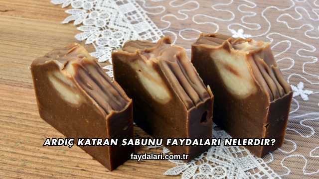 Ardıç Katran Sabunu Faydaları Nelerdir?