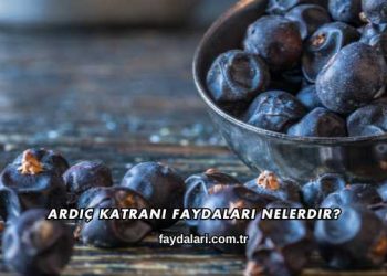 Ardıç Katranı Faydaları Nelerdir?