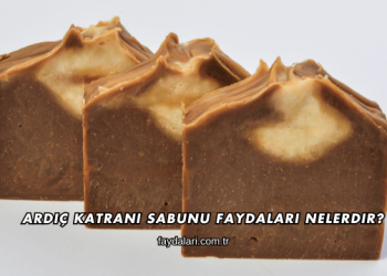 Ardıç Katranı Sabunu Faydaları Nelerdir?
