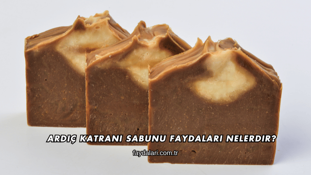 Ardıç Katranı Sabunu Faydaları Nelerdir?