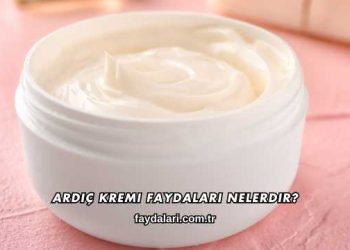 Ardıç Kremi Faydaları Nelerdir?