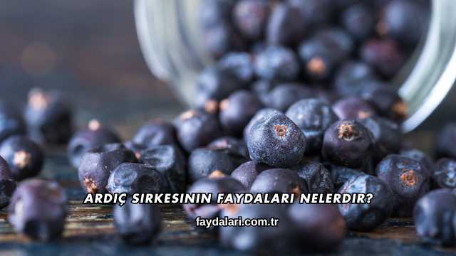 Ardıç Sirkesinin Faydaları Nelerdir?