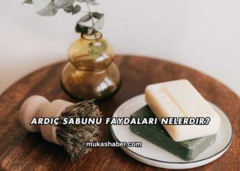Ardıç Sabunu Faydaları Nelerdir?