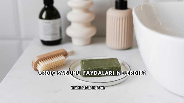 Ardıç Sabunu Faydaları Nelerdir?