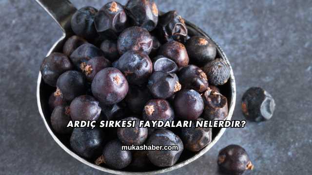 Ardıç Sirkesi Faydaları Nelerdir?