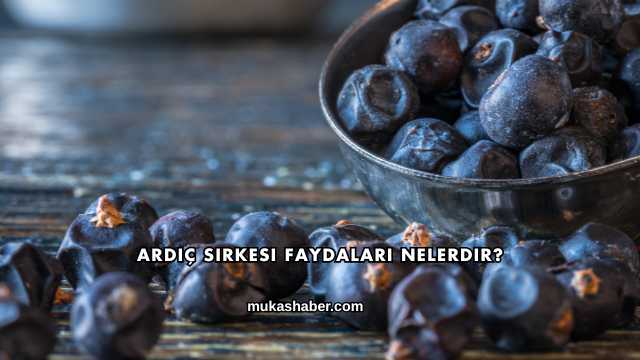 Ardıç Sirkesi Faydaları Nelerdir?