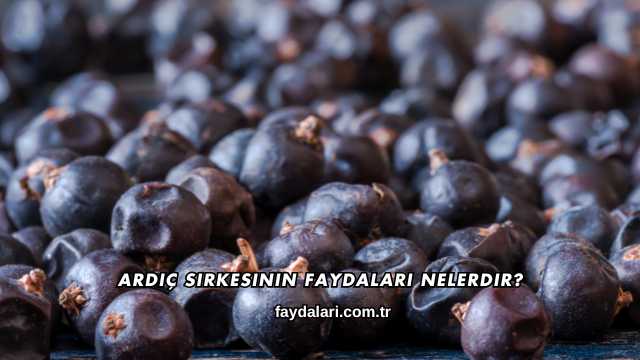 Ardıç Sirkesinin Faydaları Nelerdir?