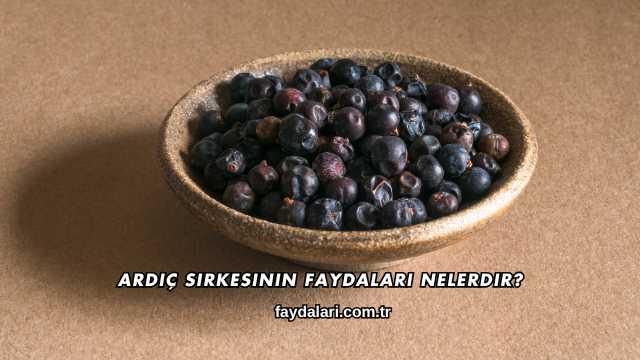 Ardıç Sirkesinin Faydaları Nelerdir?
