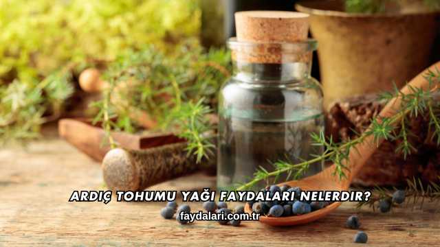 Ardıç Tohumu Yağı Faydaları Nelerdir?