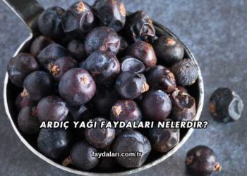 Ardıç Yağı Faydaları Nelerdir?
