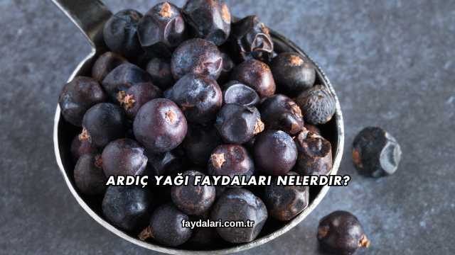 Ardıç Yağı Faydaları Nelerdir?