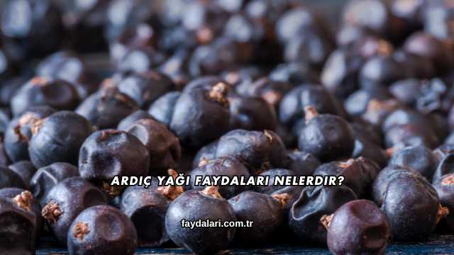 Ardıç Yağı Faydaları Nelerdir?
