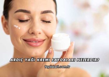 Ardıç Yağı Kremi Faydaları Nelerdir?