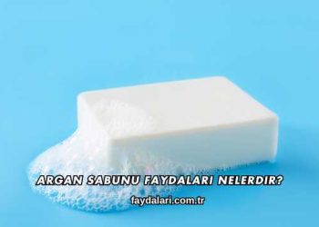 Argan Sabunu Faydaları Nelerdir?