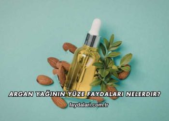 Argan Yağının Yüze Faydaları Nelerdir?