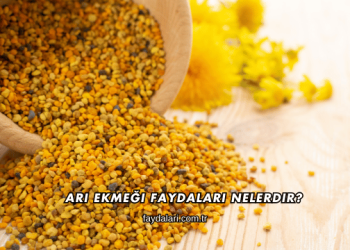 Arı Ekmeği Faydaları Nelerdir?