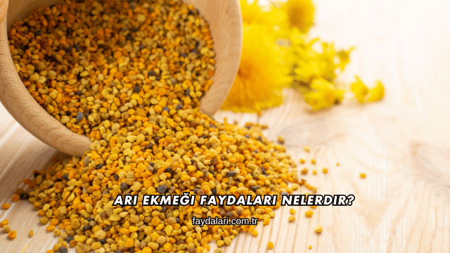 Arı Ekmeği Faydaları Nelerdir?