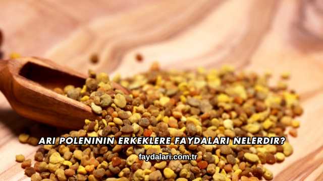 Arı Poleninin Erkeklere Faydaları Nelerdir?