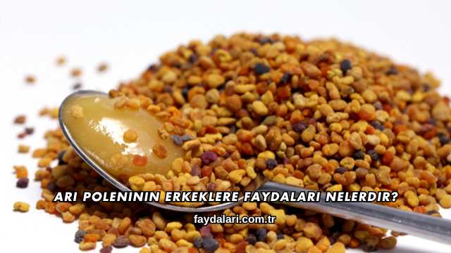 Arı Poleninin Erkeklere Faydaları Nelerdir?