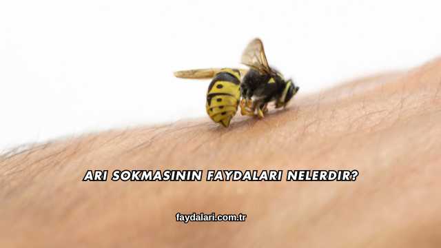 Arı Sokmasının Faydaları Nelerdir?