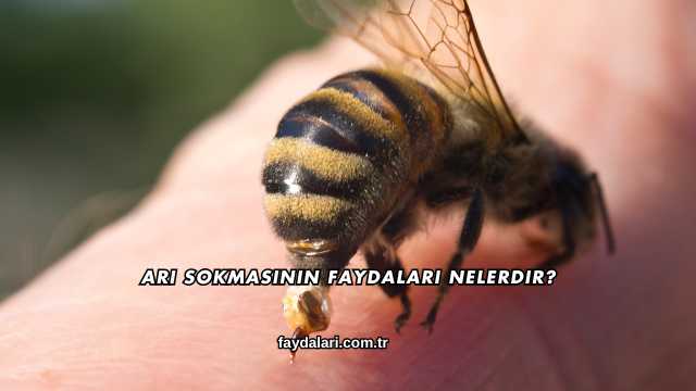 Arı Sokmasının Faydaları Nelerdir?