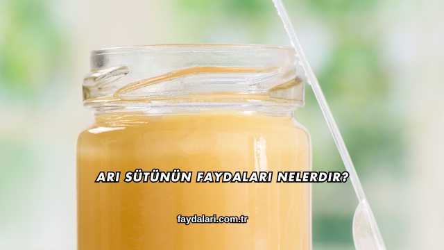 Arı Sütünün Faydaları Nelerdir?