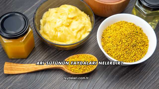 Arı Sütünün Faydaları Nelerdir?