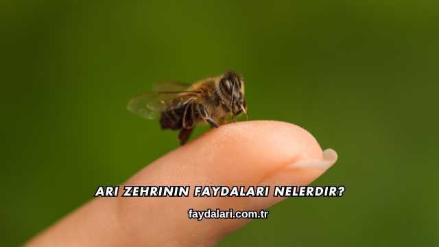 Arı Zehrinin Faydaları Nelerdir?