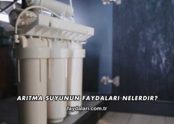 Arıtma Suyunun Faydaları Nelerdir?