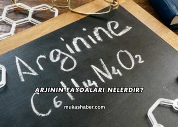 Arjinin Faydaları Nelerdir?