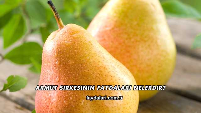 Armut Sirkesinin Faydaları Nelerdir?