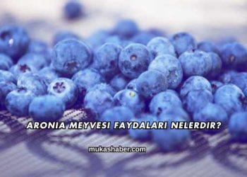 Aronia Meyvesi Faydaları Nelerdir?