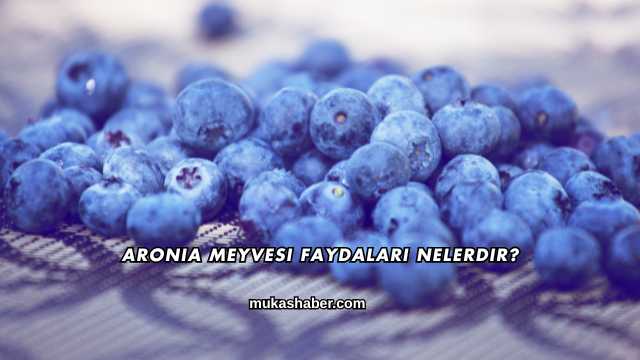 Aronia Meyvesi Faydaları Nelerdir?
