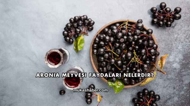 Aronia Meyvesi Faydaları Nelerdir?