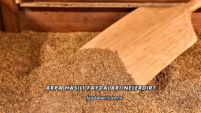 Arpa Hasılı Faydaları Nelerdir?
