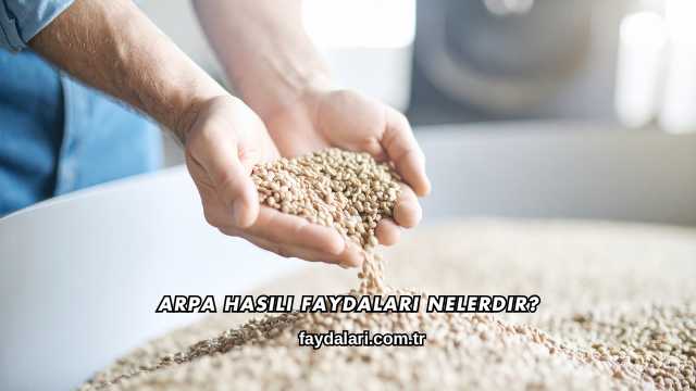 Arpa Hasılı Faydaları Nelerdir?
