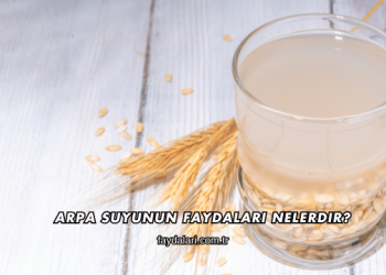 Arpa Suyunun Faydaları Nelerdir?