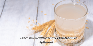 Arpa Suyunun Faydaları Nelerdir?