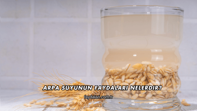 Arpa Suyunun Faydaları Nelerdir?