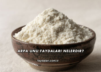 Arpa Unu Faydaları Nelerdir?